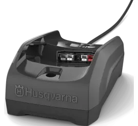 Slika artikla: Punjač C80 BLi-X